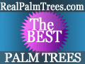 Free Shipping on 4+ Palm Trees