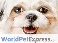 Up To 80% Off Pet Meds